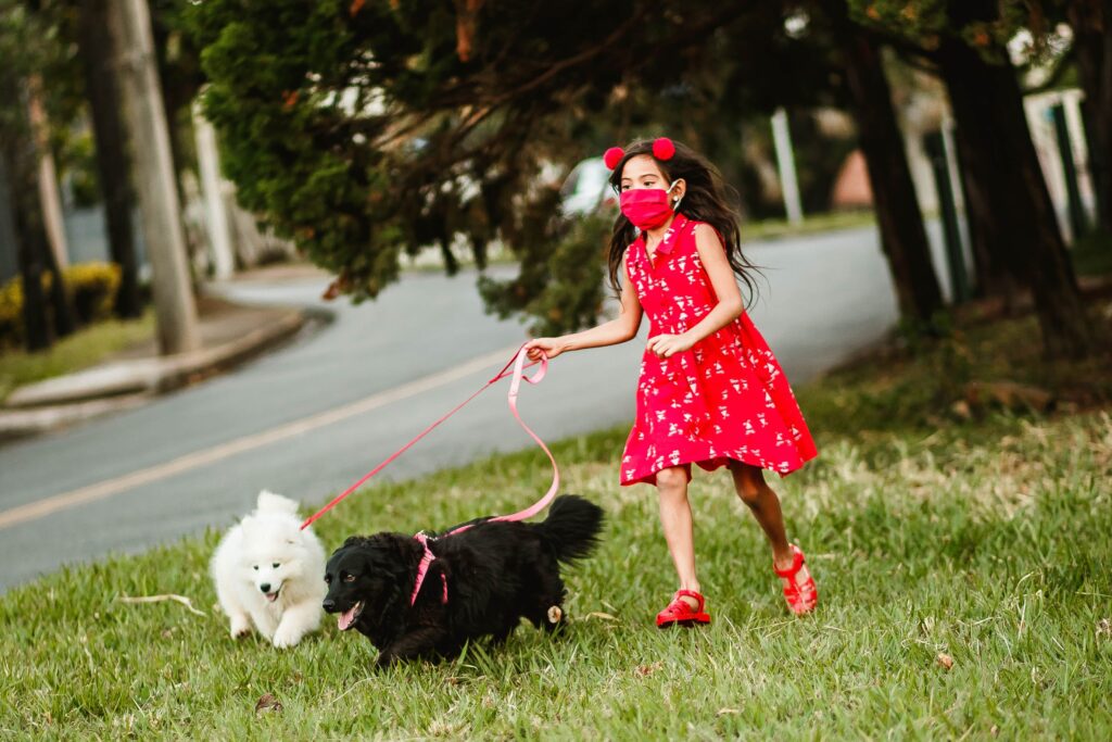 Techniques to Silence your dog barking