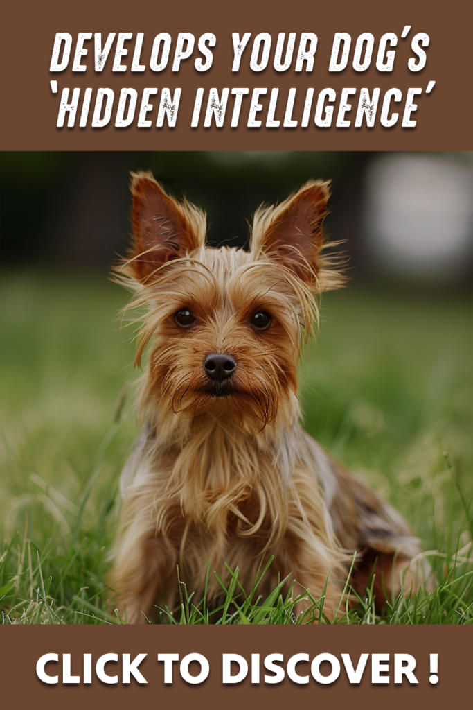 Develop Your Cute Dog Intelligence 8